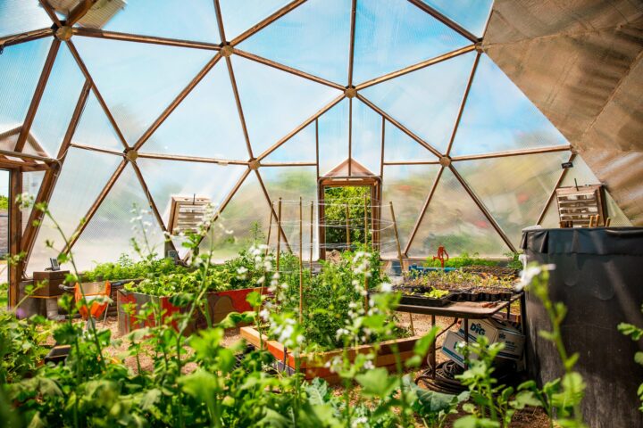 geodesic greenhouse photo